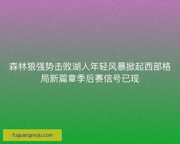 森林狼强势击败湖人年轻风暴掀起西部格局新篇章季后赛信号已现